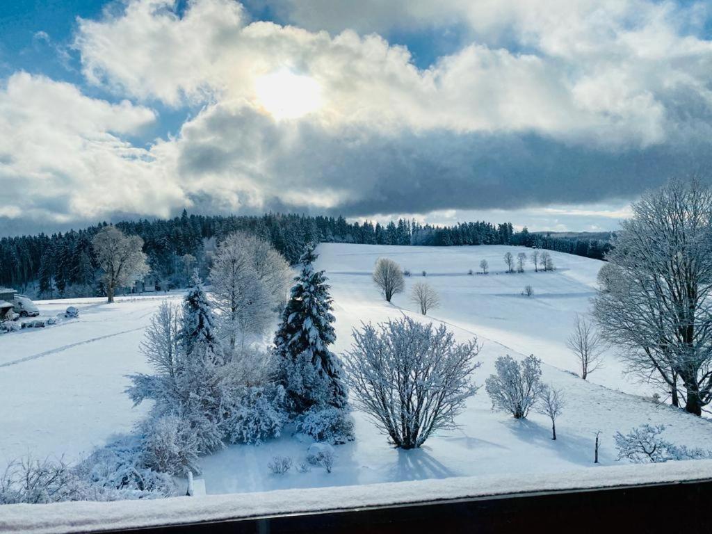 Gaestehaus Steiert Fewo Kuhbergblick Lenzkirch Exterior foto