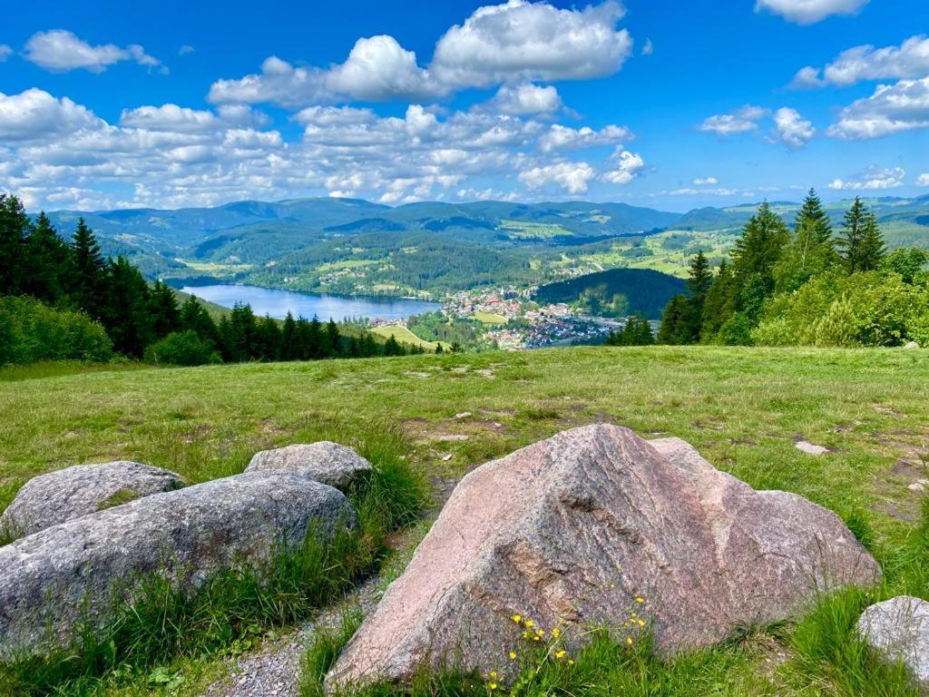Gaestehaus Steiert Fewo Kuhbergblick Lenzkirch Exterior foto